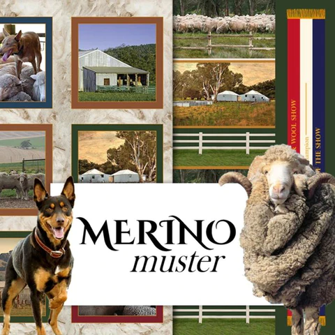 Merino Muster - ON SALE!
